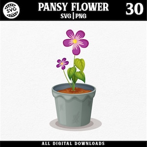 Imprimé fleurs 30