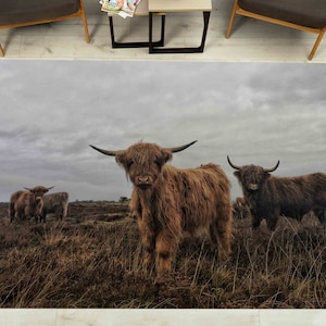 Corridor Rug, Door Mat, Office Decor Rug, Gift Rug, Highland Cow Rugs, Wildlife Rug, Animal Rugs, Bridesmaid Gift, Luxury Rug, Loft Home Rug