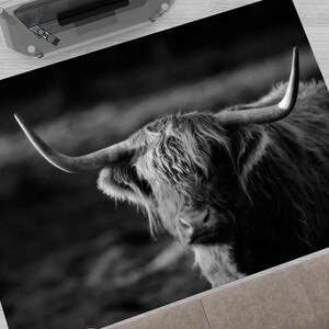 Custom Rug, Wall Hanging Rug, Pet Friendly Rug, Anti-Slip Carpet, Ox Rug, Wild Bull Rugs, Animal Rug, Thin Rug, Living Room Rug, Soft Rug,