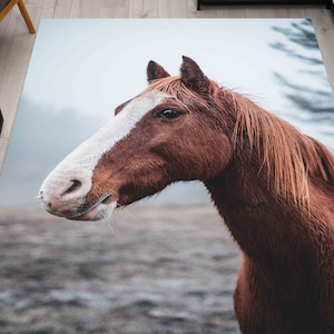 Front Door Rug, Hallway Rug, Door Mat, Gift For Her, Horse Rugs, Wild Horse Rugs, Animal Rugs, Thin Rug, Accent Rug, Decorative Rug,