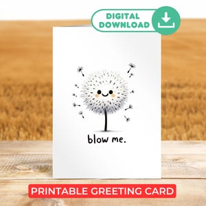 Carte amour drôle imprimable, carte de Saint-Valentin Blow Me blague, téléchargement numérique, carte pour petit ami, petite amie, femme, cadeau mari