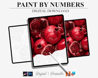 Paint By Number Kit Adult - Pomegranate | Digital Download Art | Printable Digital Painting Kit  Procreate Color Palettes | DIY Art