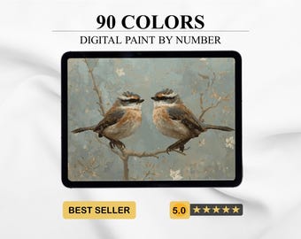 Nuthatches – Paint by Number | Digital Coloring Pages for Adults (Printable + Procreate Ready) Coloring Book