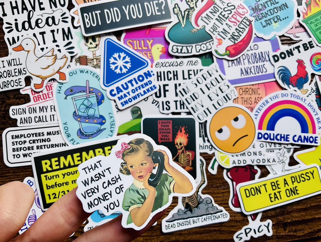 Funny Meme Sticker Pack – Sarcastic, Waterproof Vinyl Decals - Etsy