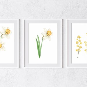 Set di acquerelli  artistici floreali raffiguranti fiori gialli. Set di 3 acquerelli.Fatti a mano.Carta italiana fatta a mano.