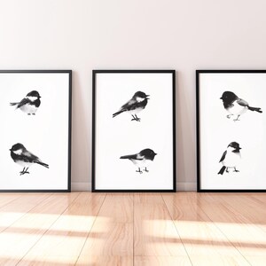 Set di acquerelli  artistici raffiguranti tre uccelli in bianco e nero  . Set di 3 acquerelli.Fatti a mano.Carta italiana fatta a mano.