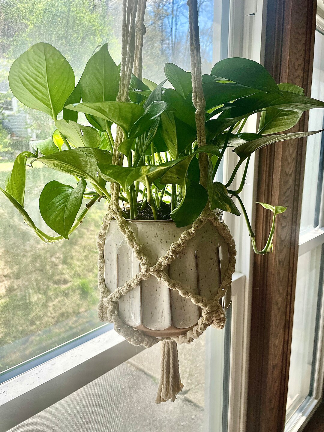 Oval Diamond Beaded Macrame Plant Hanger Etsy