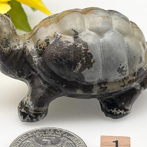 Puede incluir: Una pequeña figura de tortuga de piedra gris y marrón. La tortuga es aproximadamente del tamaño de una moneda de euro.