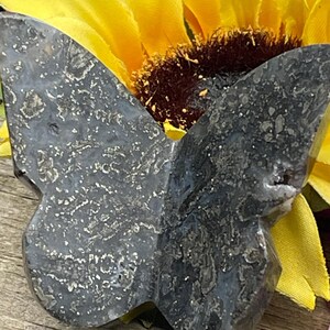 May include: A black and grey butterfly-shaped stone with a detailed pattern. The stone is sitting on a wooden surface with a yellow sunflower behind it.