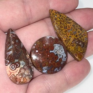 Könnte beinhalten: Drei Achat-Cabochons mit einem braunen, orangen und weißen Muster. Die Cabochons haben die Form einer Träne, eines Kreises und eines Dreiecks.