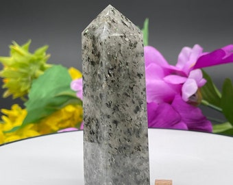 Op de afbeelding: Een grijze en groene kristallen punt met zwarte vlekken. De kristal is ongeveer 5 cm hoog en staat op een wit oppervlak met een klein houten blokje waarop "1" staat.