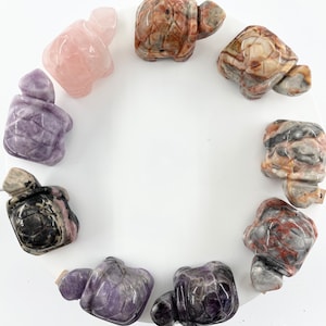 Puede incluir: Una colección de ocho pequeñas figuritas de tortuga talladas en diferentes tipos de piedra pulida. Las tortugas están dispuestas en círculo sobre una superficie blanca. Las piedras incluyen amatista, cuarzo rosa y una variedad de ágatas veteadas.