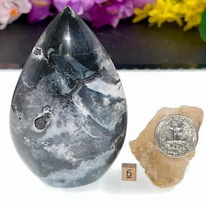 May include: A teardrop-shaped, polished black and white agate crystal with a swirling pattern. The crystal is approximately 6 inches tall and is sitting on a white surface next to a small piece of clear quartz and a US quarter for scale.