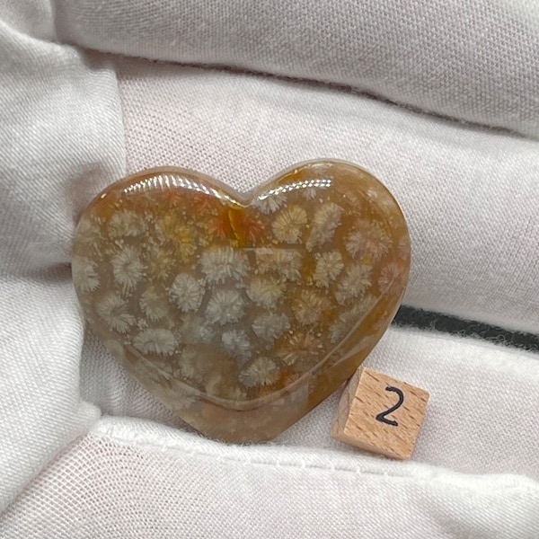 Coral Fossil Agate, Hand Carved, Cabochon, Hearts