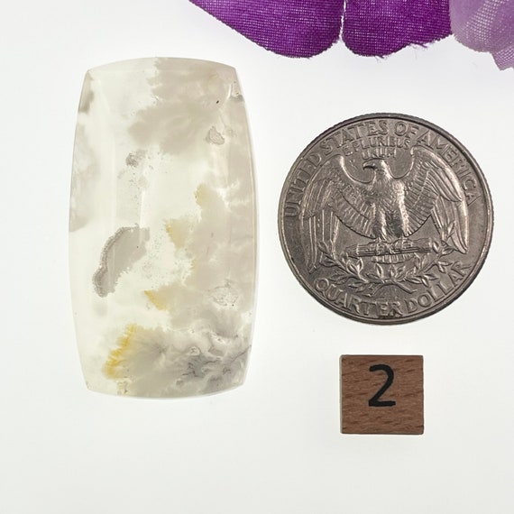 AAA+ Double Plume Agate from Indonesia.