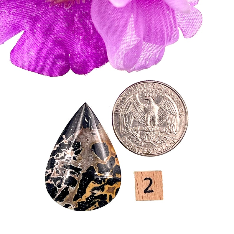 Premium Palm Root Agate from Indonesia. AAA+ grade cabochon with intricate designs. Enhances creativity, boosts confidence. Ideal for custom jewelry and crystal collections.