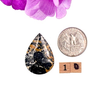 Natural Palm Root Agate, AAA+ quality. Indonesian origin with distinctive patterns. Balances emotions, promotes harmony. Perfect for crystal collections and jewelry design.