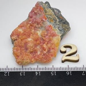 Può includere: Un primo piano di un campione minerale rosa e arancione con una superficie ruvida e testurizzata. Il campione è largo circa 5 cm e si trova su una superficie bianca con un righello.