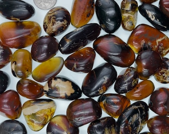 UV Fluorescent Sumatra Blue Amber Tumbles | Indonesia AAA+ | Healing Crystal | Rare Gemstone | Bulk 5-10 Piece Discount