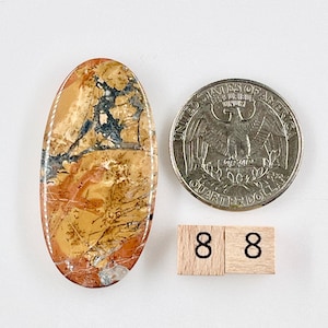 Peut inclure: Gros plan sur une pierre ovale de couleur marron, jaune et noire avec une bordure blanche. La pierre est à peu près de la taille d'une pièce de 25 cents américaine. Deux blocs de bois avec le chiffre "8" imprimé dessus sont également présents sur l'image.