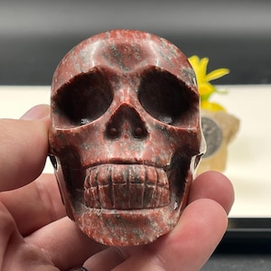 Stunning Hand Carved Red Jasper Skull | Courage and Confidence Booster | Brecciated