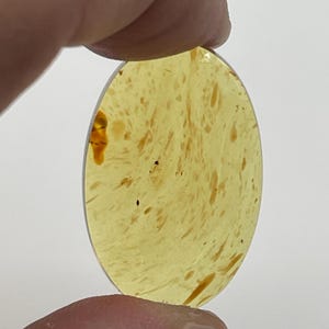 Luxury AAA+ Blue Amber Cabochons | Natural Indonesian Stone Carving | Selections 24-26