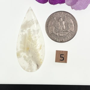 May include: A teardrop-shaped, clear, white agate cabochon with a dendritic pattern. The cabochon is approximately the size of a US quarter.