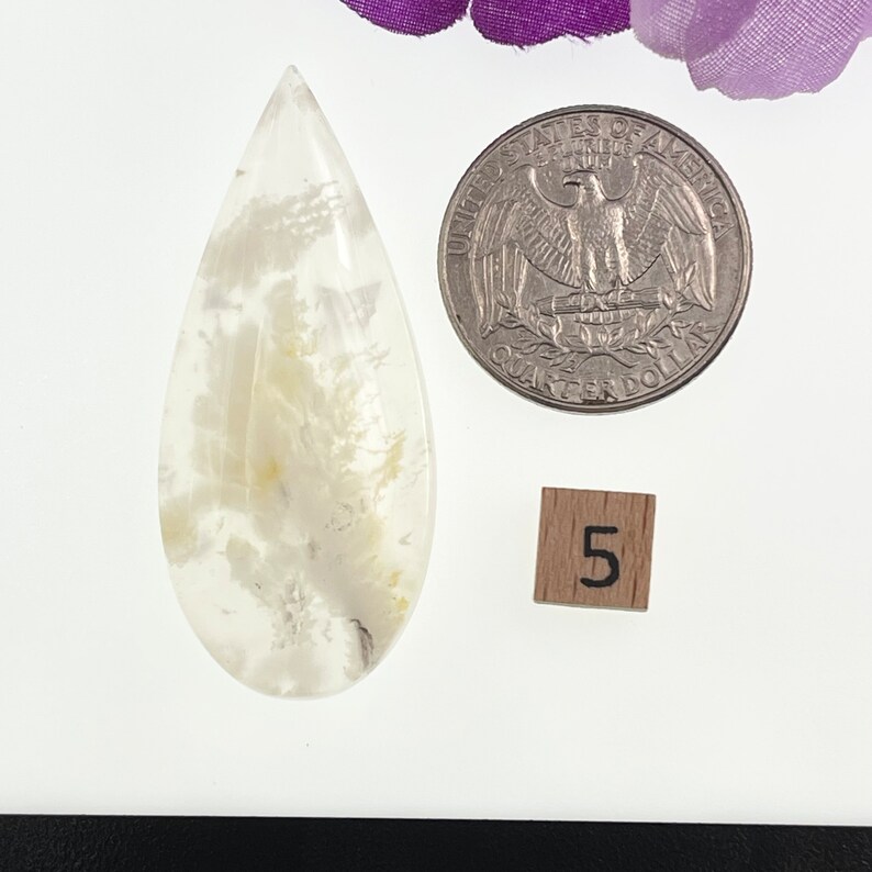 May include: A teardrop-shaped, clear, white agate cabochon with a dendritic pattern. The cabochon is approximately the size of a US quarter.