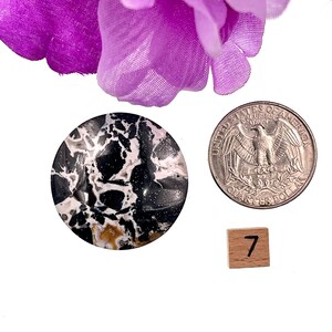 Exquisite Indonesian Agate. AAA+ Palm Root Cabochon with one-of-a-kind patterns. Aids in centering, grounding. Ideal for crystal healing and custom jewelry designs.