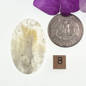 May include: A white agate cabochon with brown and gray dendritic patterns. The cabochon is oval shaped and measures approximately 1 inch in length. A US quarter and a wooden block with the number 8 are included for size reference.