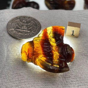 AAA+ Sumatra Amber, UV Reactive, Polished Bees, Natural, Fossilized Tree Resin