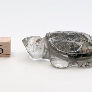 Puede incluir: Una tortuga tallada en un cristal de cuarzo transparente. La tortuga mide aproximadamente 5 cm de largo y está sentada sobre una superficie blanca. El número "5" es visible en un bloque de madera a la izquierda de la tortuga.
