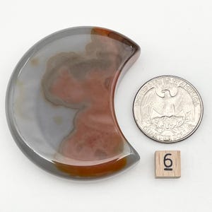 Natural Stone Crescent Moon - Carnelian Energy Amplifier Flower Agate Art Nurturing Fall Home Accent Aventurine