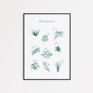 Kräuter Plakat Mint I Illustration, Dekoration, Küche, Wandkunst, druckbare Deko, Malerei, Kunstwerk, Print, Moderne Kunst, Poster