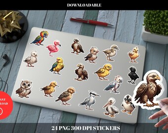 24x Vogel-Enthusiast Aufkleber, niedlicher Tier-Aufkleber, Natur-inspirierter Laptop-Aufkleber Wasserflasche-Dekor, Geschenk für Vogelliebhaber