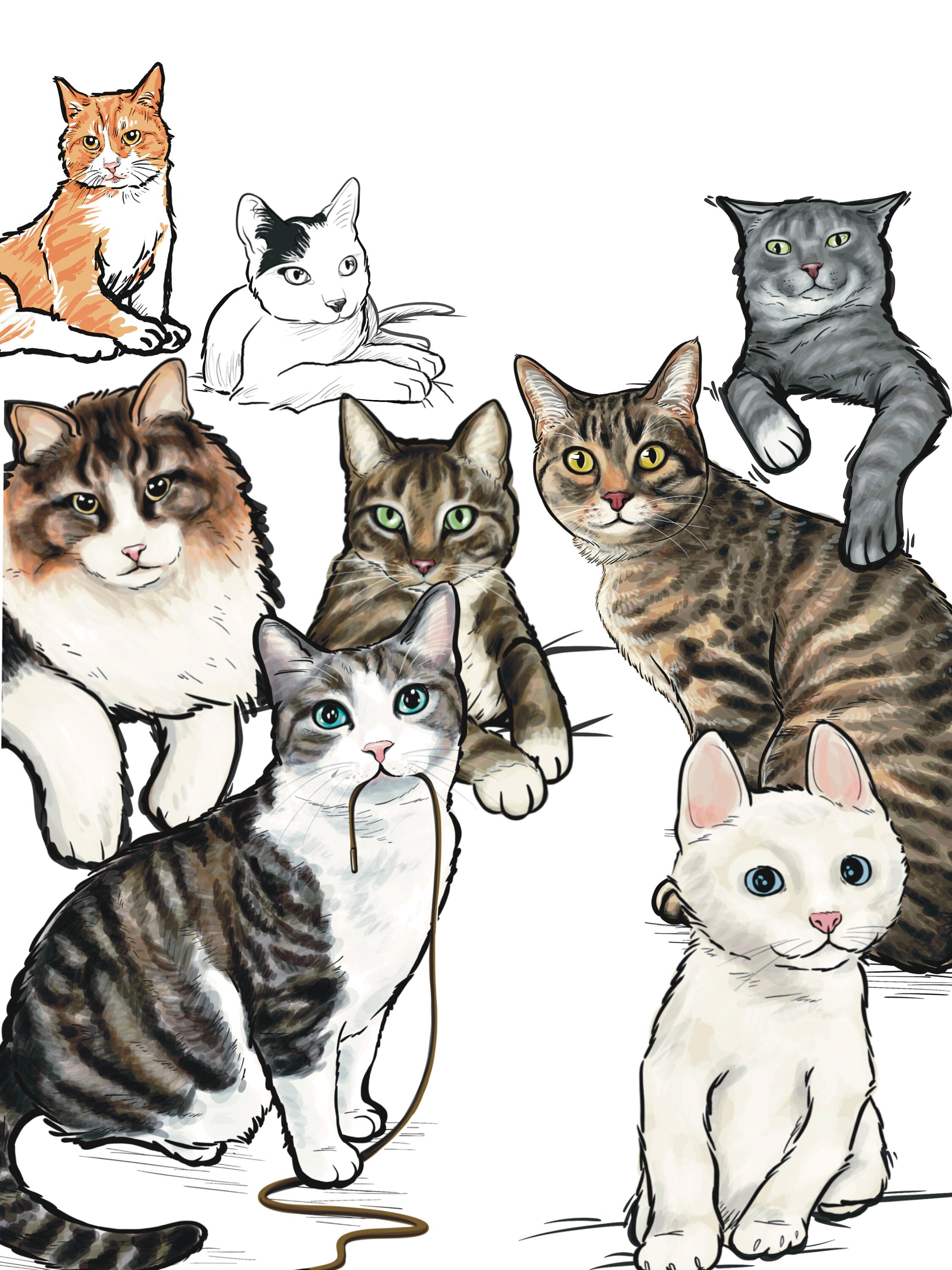 Procreate Cat Stamps, Procreate Realistic Cat Drawing, Animal Brushes ...