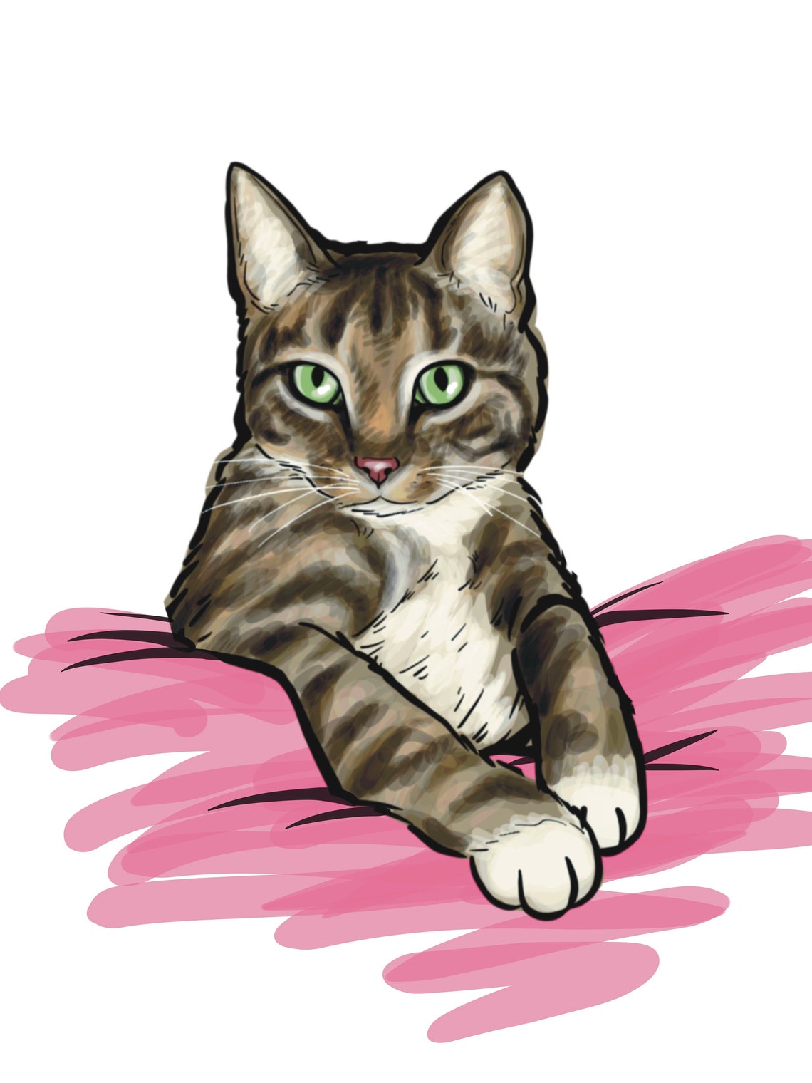 Procreate Cat Stamps, Procreate Realistic Cat Drawing, Animal Brushes ...