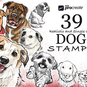 Dog stamps for procreate, Digital dog brushes, Realistic dog drawing, Procreate art, New procreate stamp, Easy cute dog drawing