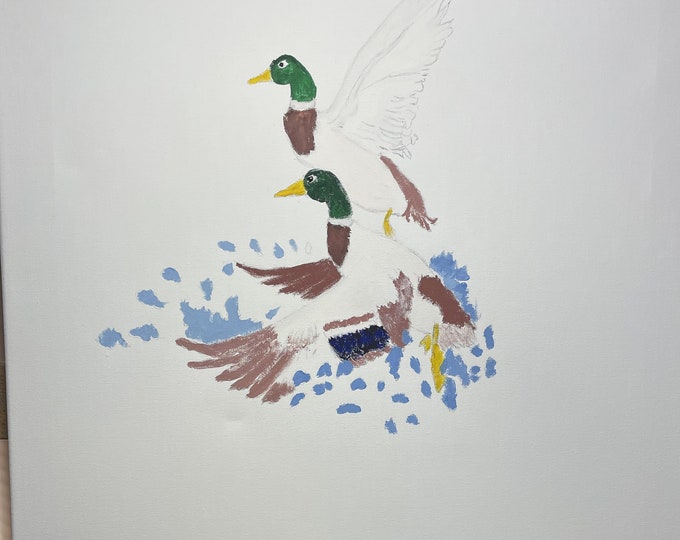 Two mallard ducks