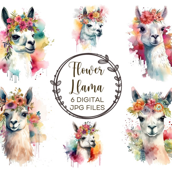 Floral lamas Clipart Bundle, couronne de fleurs Pastel, Animal mignon, mignon alpaga Clipart, Lama avec fleurs, aquarelle Clipart Bundle
