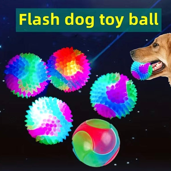 Hunde Spielzeug LED Ball