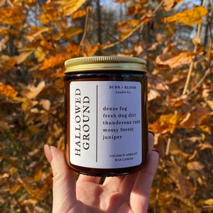 HALLOWED GROUND / Earth / Moss / Ozone / 7oz Amber Jar Candle / Gold Lid / Coconut Apricot Wax