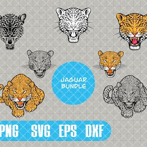 Jaguar Bundle Face/Body
