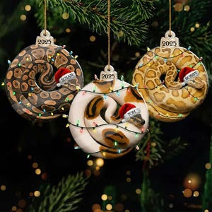 May include: Three Christmas ornaments shaped like coiled snakes, each with a Santa hat and a name tag. The ornaments are decorated with string lights and the year 2025. The snakes have brown, white, and yellow patterns.