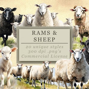 Collezione di clip art Rams & Sheep - Download digitali di alta qualità per arte e design, uso commerciale, 300 DPI