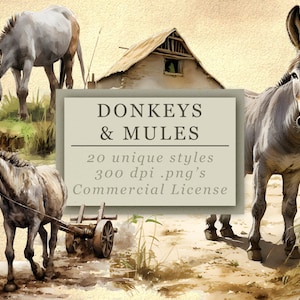 Coleção de clipart de burros e mulas - downloads digitais de alta qualidade para arte e design, uso comercial, 300 DPI