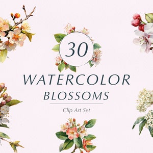 Watercolor Blossoms Clipart - Floral Clipart - Flower Clipart - Wedding Clipart - 300dpi - Graphics