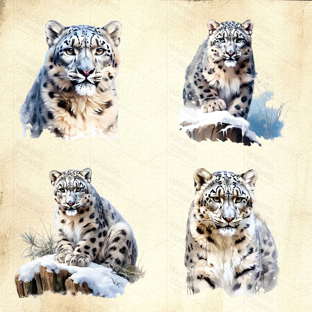 Snow Leopard Clip Art Collection High-quality Digital Downloads for Art