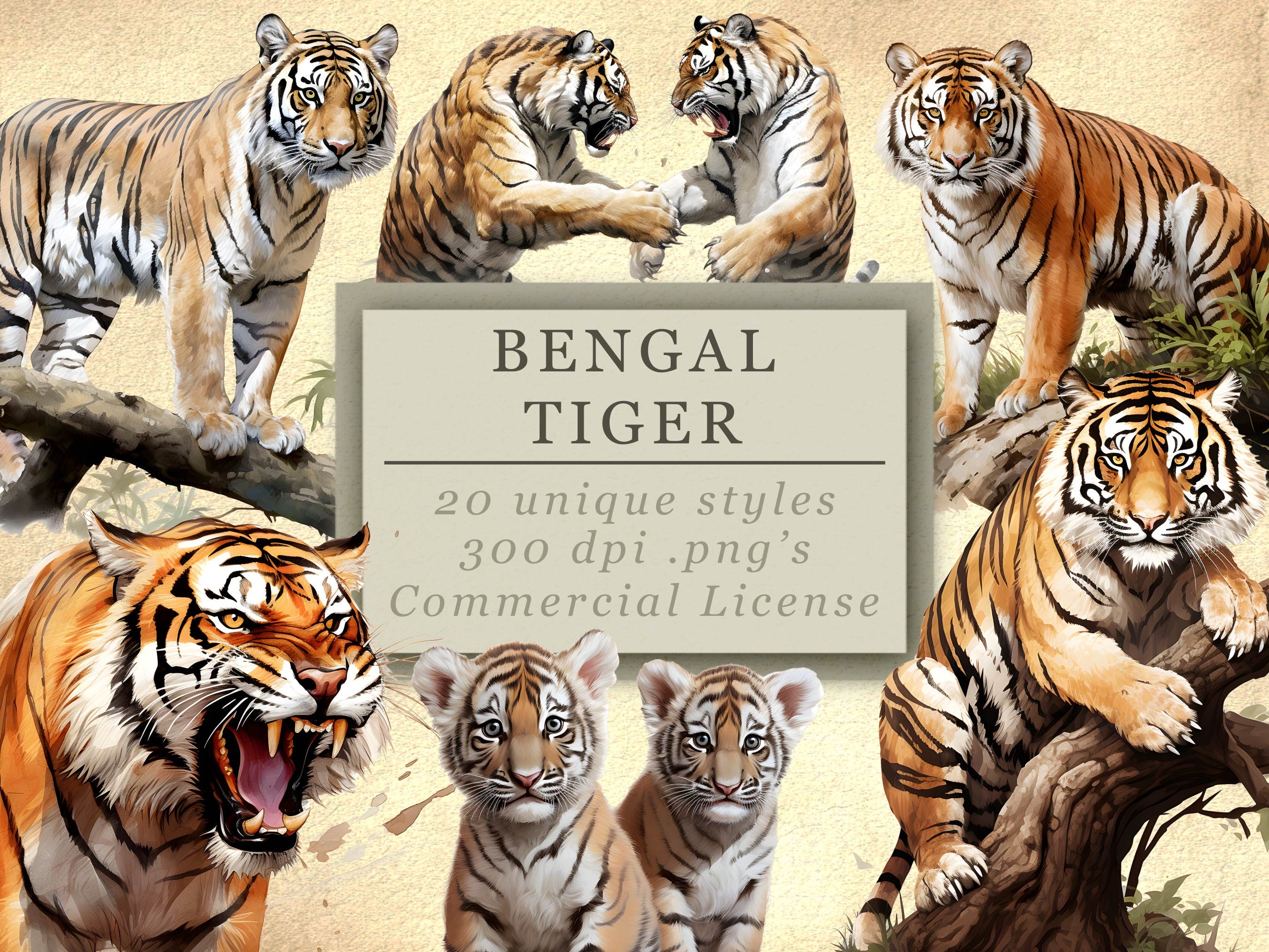 Bengal Tiger Clip Art Collection High-quality Digital Downloads for Art ...