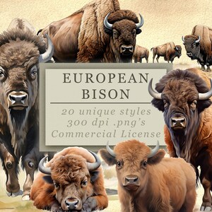 European Bison Clip Art Collection - High-Quality Digital Downloads for Art and Design, Commercial Use, 300 DPI